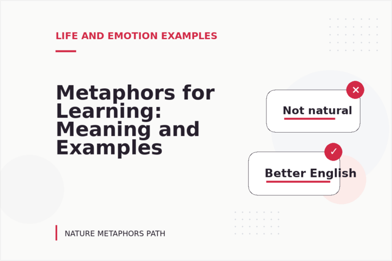 Metaphors for Learning: Meaning and Examples