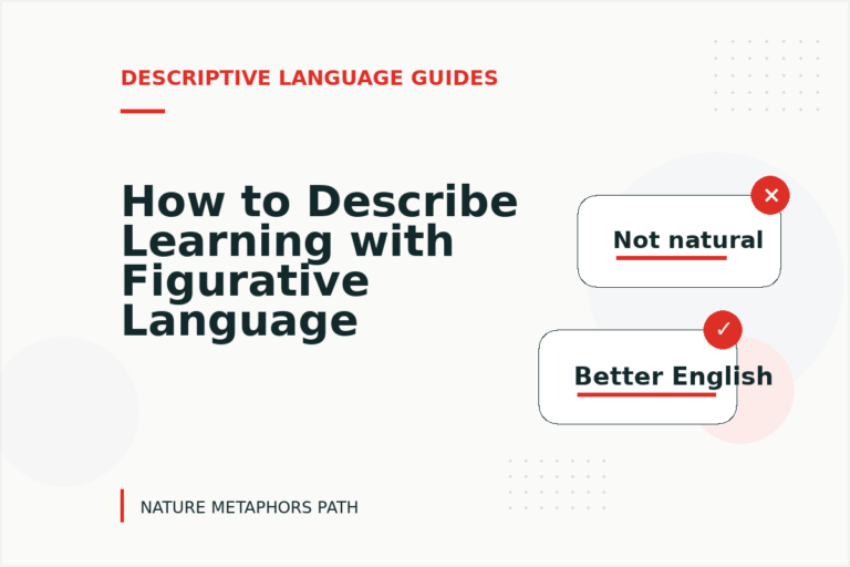 How to Describe Learning with Figurative Language How to Describe Learning with Figurative Language